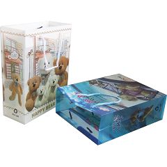 6610043 小號小熊F袋(PP禮物袋)